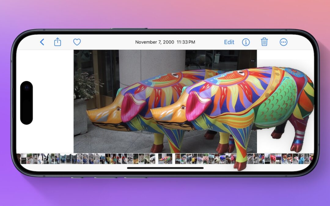 Starting with iOS 16, Apple made it possible to extract objects from photos. You can drag objects to other apps, copy them, turn them into stickers, and more. | Go2G2.com